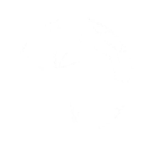 WildVision_logo